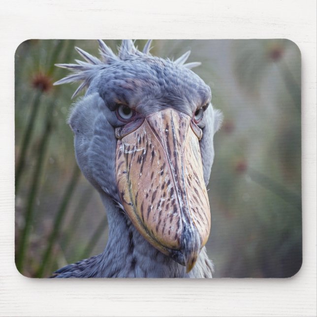 Shoebill Mouse Mat (Front)