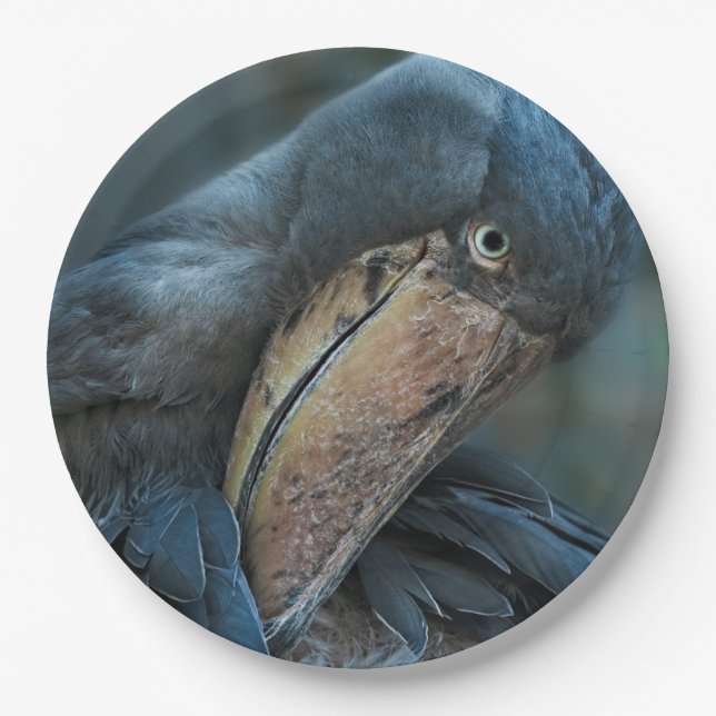 Shoebill Paper Plate (Front)