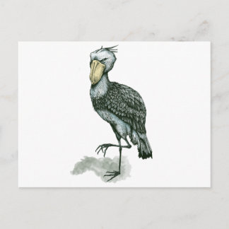 shoebill postcard