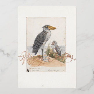 Shoebill Stork 1887 Print Zoologica Africa Foil Holiday Card