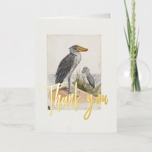Shoebill Stork 1887 Print Zoologica Thank You Foil Greeting Card (Front)