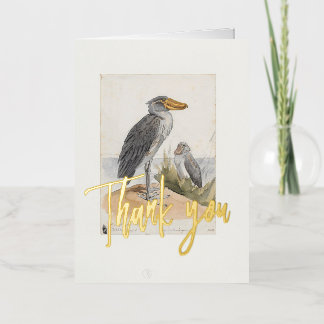 Shoebill Stork 1887 Print Zoologica Thank You Foil Greeting Card