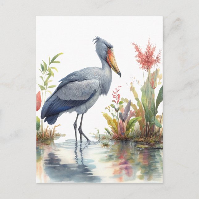 Shoebill Stork Watercolor painting Postcard (Front)