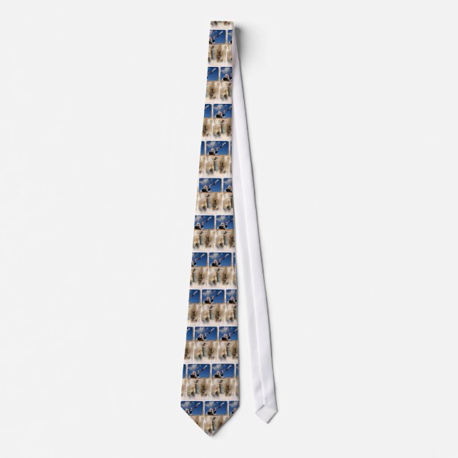 Shofar Neck Tie (Front)