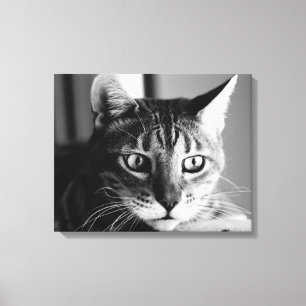 Shogun Bengal Cat Canvas Print