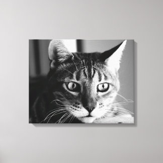 Shogun Bengal Cat Canvas Print