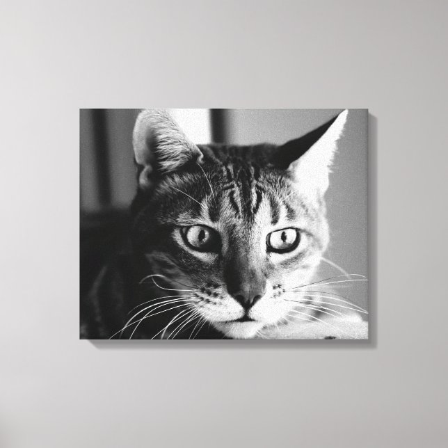 Shogun Bengal Cat Canvas Print (Front)