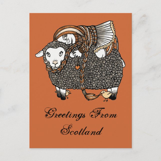 Shonaghs Sheep Postcard (Front)