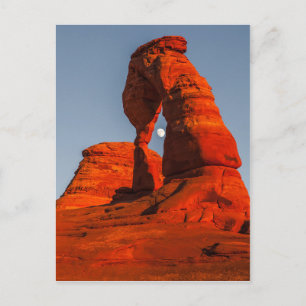 Shoot The Moon Postcard