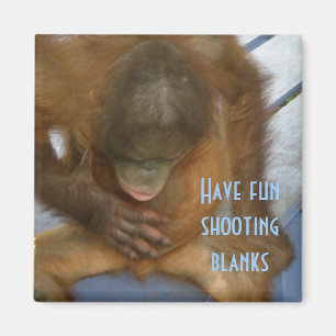 Shooting Blanks Elective Surgery Magnet