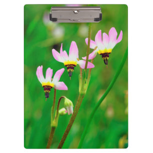 Shooting Star Wildflowers in Mission Trails Park Clipboard