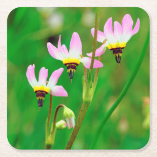 Shooting Star Wildflowers in Mission Trails Park Square Paper Coaster