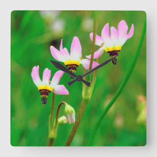 Shooting Star Wildflowers in Mission Trails Park Square Wall Clock