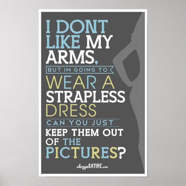 Shoppe Satire - Humour for Photographers Poster (Front)