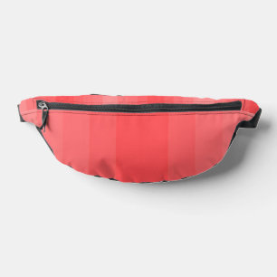 SHOPPING QUEEN COLLECTION- Ladies Bum Bags