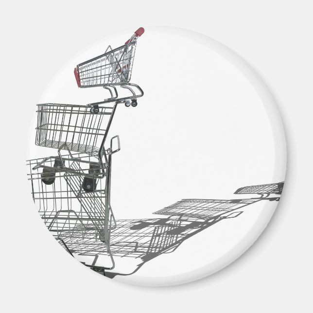 ShoppingInBalance022111 Magnet (Front)