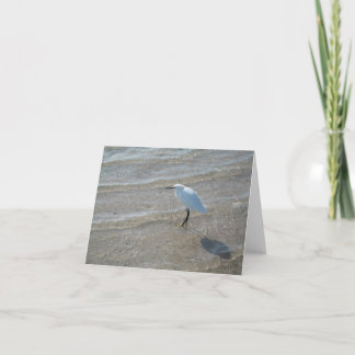 Shore bird notecard