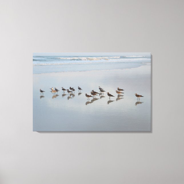 Shore Birds Canvas Print (Front)
