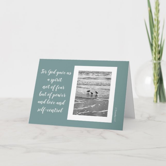 Shore birds, scripture verse from Timothy (blank) Card (Front)