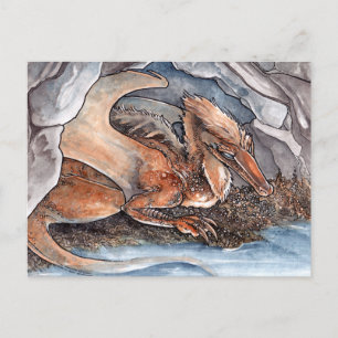 Shore Dragon Postcard