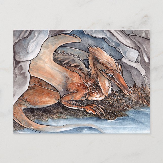 Shore Dragon Postcard (Front)