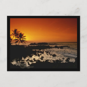 Shore Oahu Hawaii Postcard