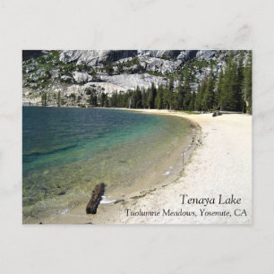 Shore of Tenaya Lake, Yosemite, CA Postcard
