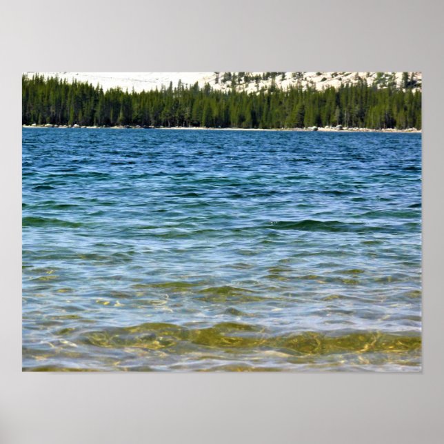 Shore of Tenaya Lake, Yosemite, CA Poster (Front)
