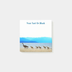 Shore Patrol - Canada Geese Post-it Notes