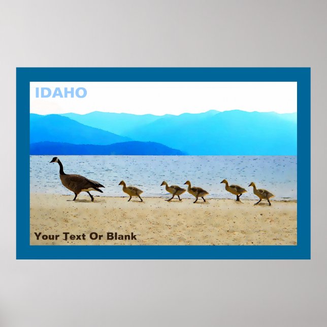 Shore Patrol Canada Geese Poster (Front)