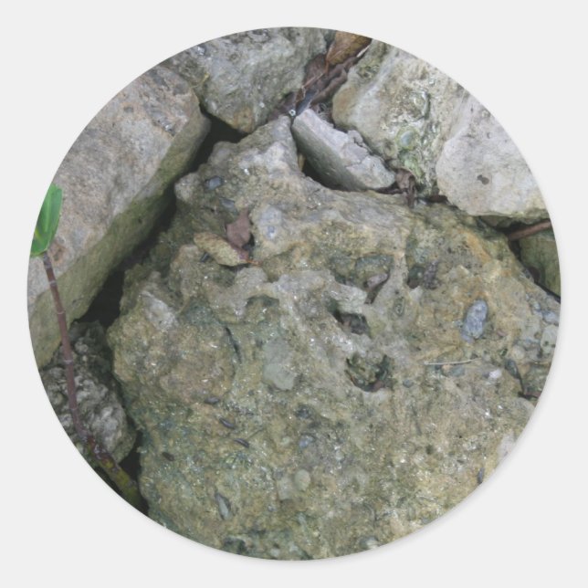 Shore rocks, jagged, with small green shoot classic round sticker (Front)