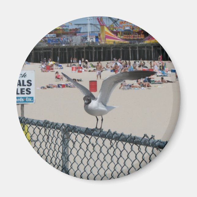 Shore Thing Magnet (Front)