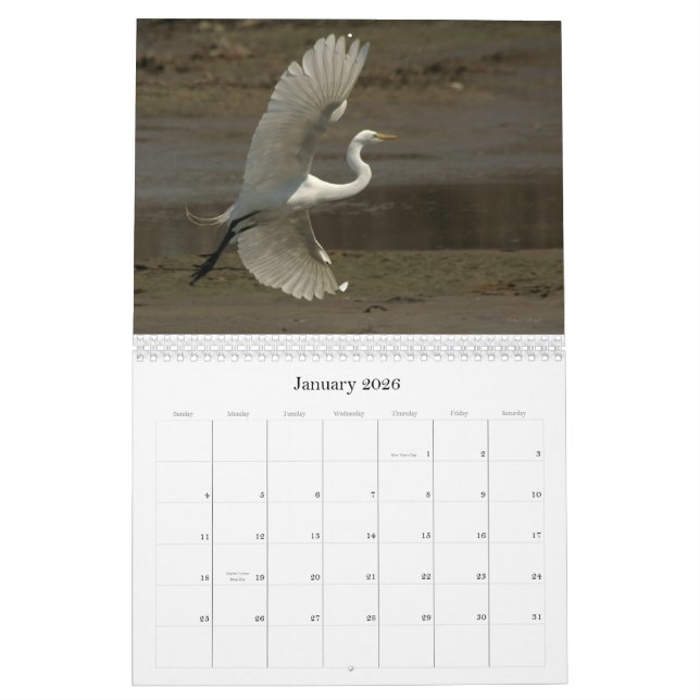 Shorebirds - 2010 calendar (Jan 2026)