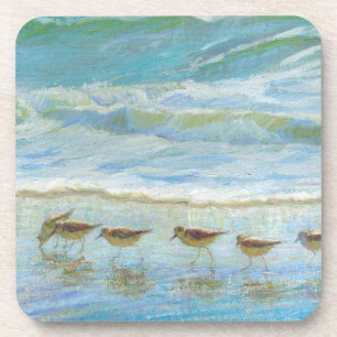 Shorebirds, A Day at the Beach Coaster