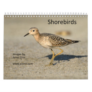 Shorebirds Calendar