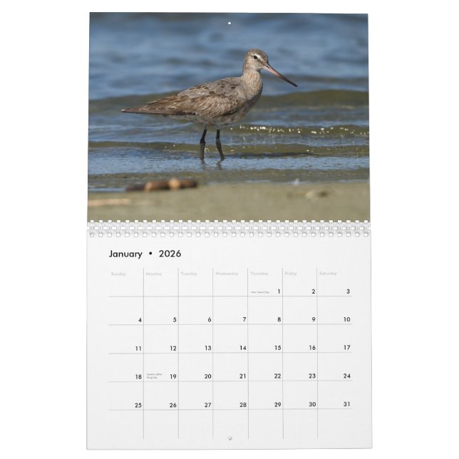 Shorebirds Calendar (Jan 2026)