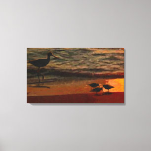 Shorebirds Canvas Print