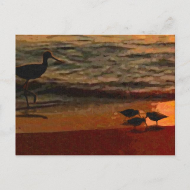 Shorebirds Postcard (Front)