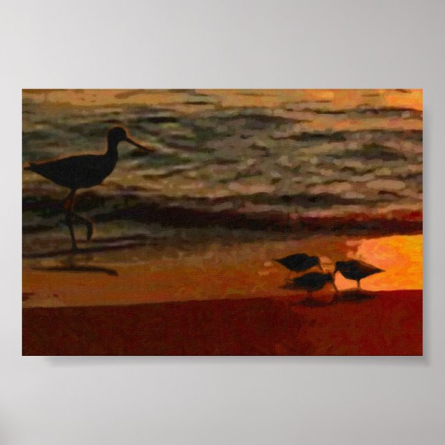 Shorebirds Poster (Front)
