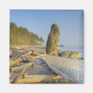 Shoreline and Seastacks, Ruby Beach, Olympic Magnet