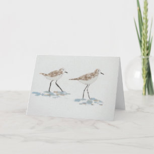 Shoreline Birds Illustration Card