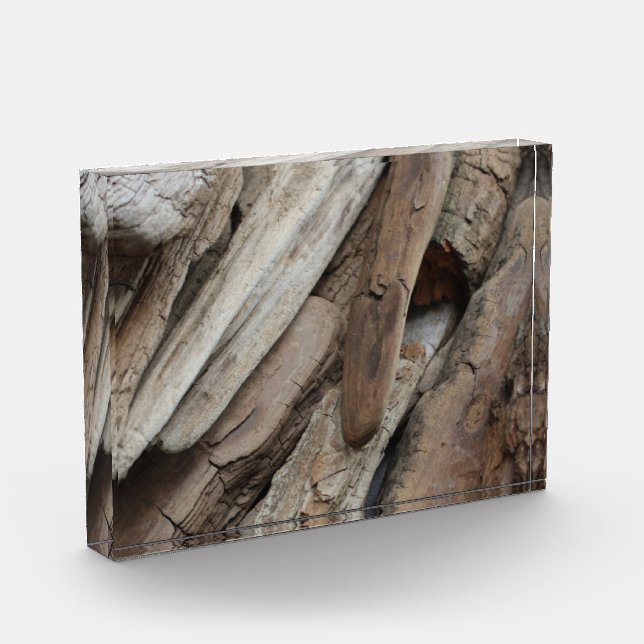 Shoreline Driftwood Photo Block (Left)
