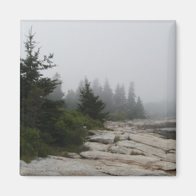 shoreline magnet (Front)