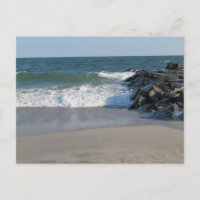 Shoreline