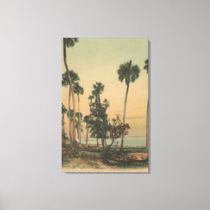 Shoreline view of Indian River with Palm Trees Canvas Print