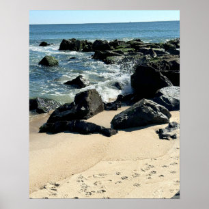 Shoreline with Rocks and Waves Poster