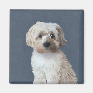 Shorkie dog pet portrait  magnet