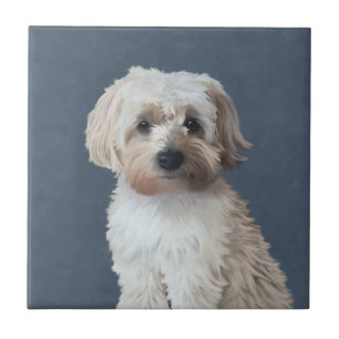 Shorkie dog pet portrait  tile