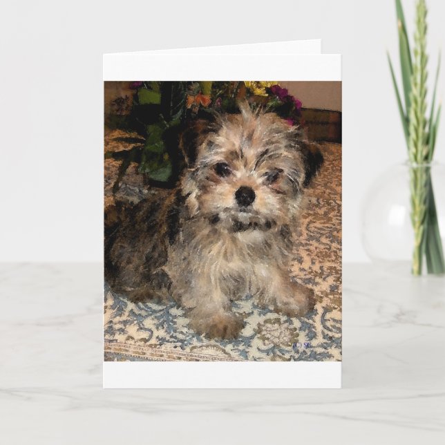 Shorkie Puppy Card (Front)