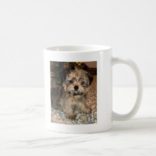 Shorkie Puppy Coffee Mug